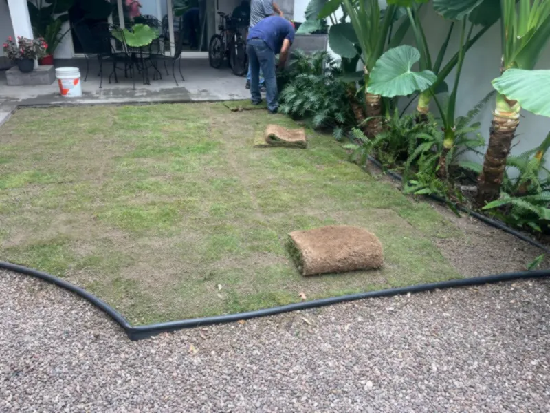El mismo patio con el pasto natural ya instalado