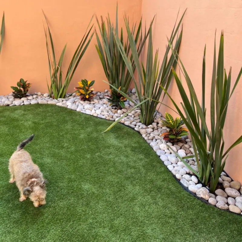Jardín con agaves y piedra de río sobre pasto en San Pedro Garza García