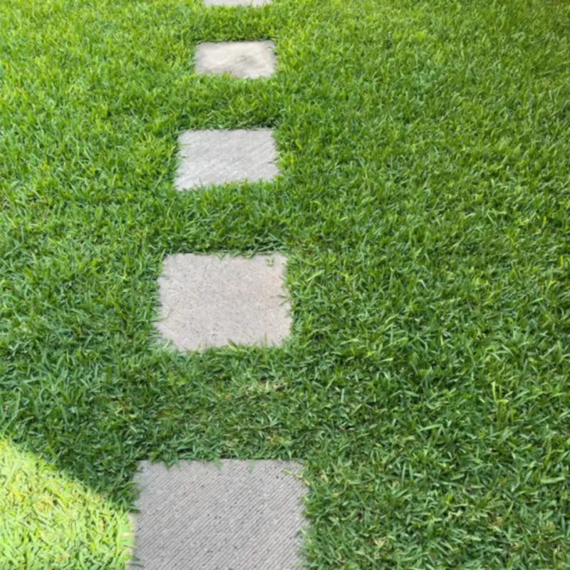Camino de piedras sobre pasto en un jardín de San Pedro Garza García