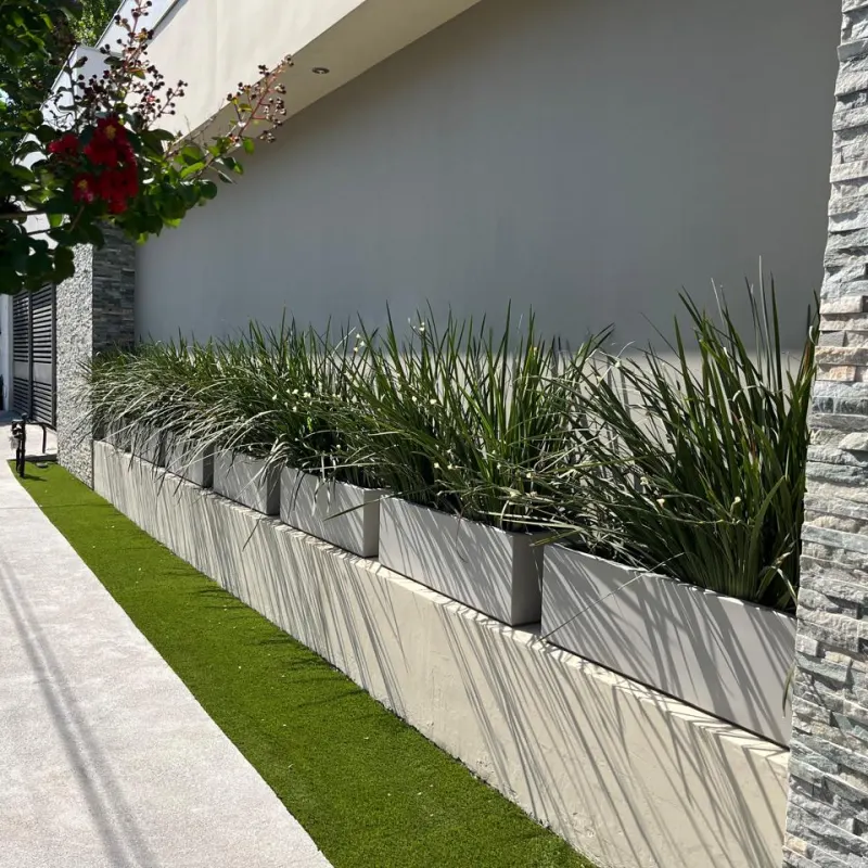Jardineras con pastos ornamentales en la fachada de una casa