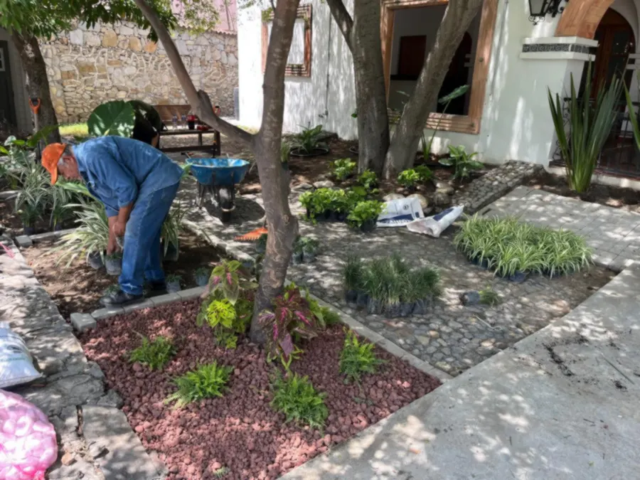 Jardinero de Botaniko terminando un jardín con parterres y plantas de la región
