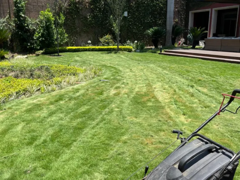 Mantenimiento de jardín: pasto recién cortado en San Pedro Garza García